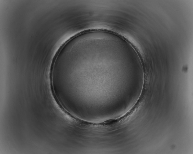 X0000102010943200807251305