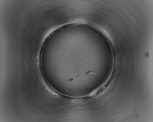 X0000102010944200807251305
