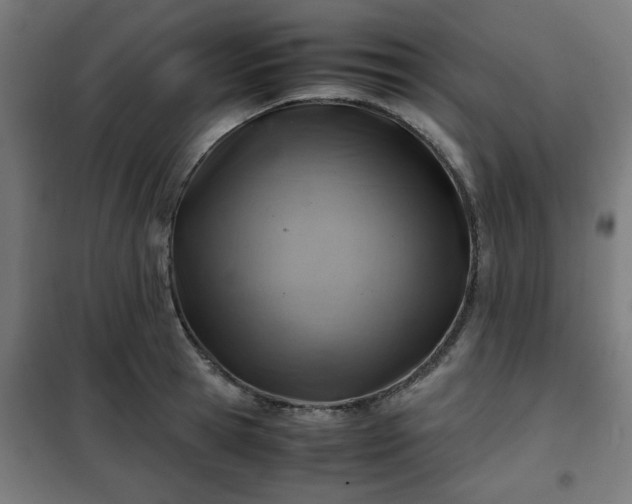 X0000102010945200807251305