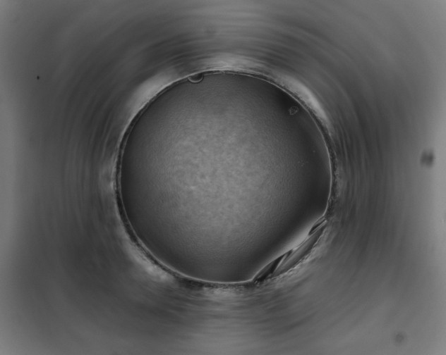 X0000102010946200807251305