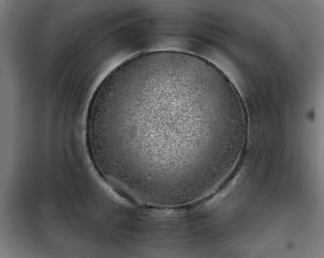 X0000102010949200807251305