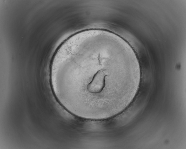 X0000102010950200807251305