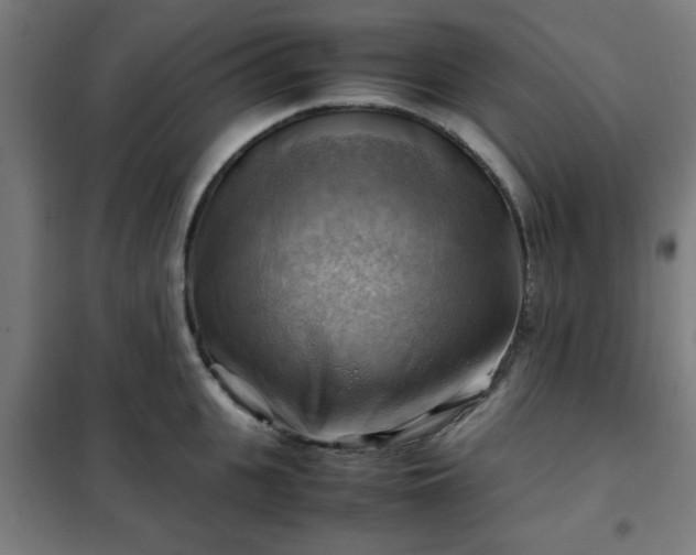 X0000102010951200807251305