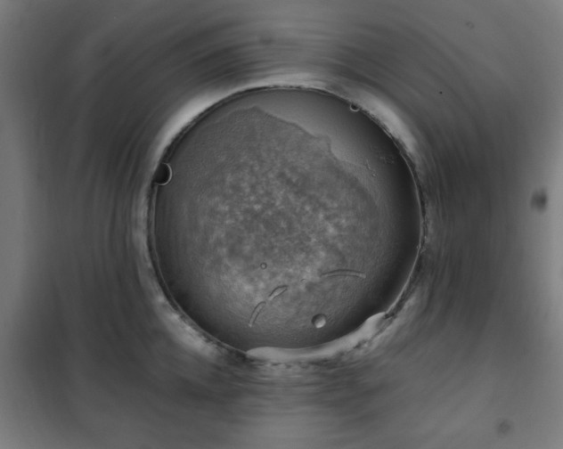 X0000102010952200807251305