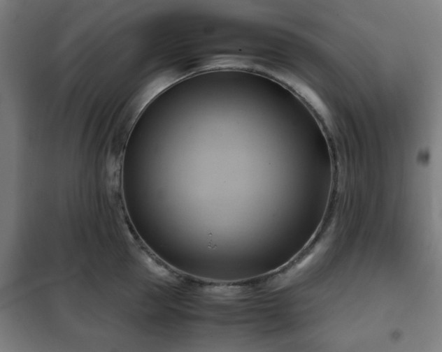 X0000102010953200807251305