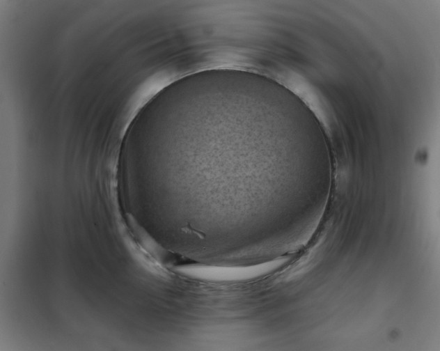 X0000102010954200807251306