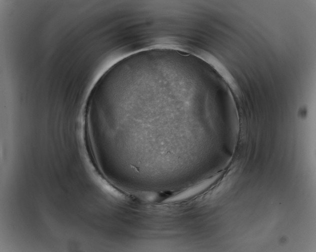 X0000102010955200807251306
