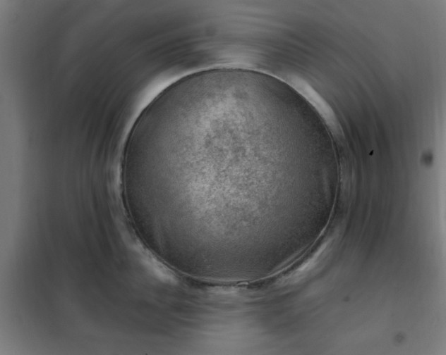 X0000102010956200807251306