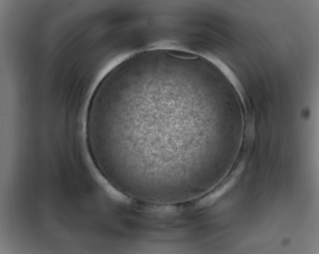 X0000102010957200807251306