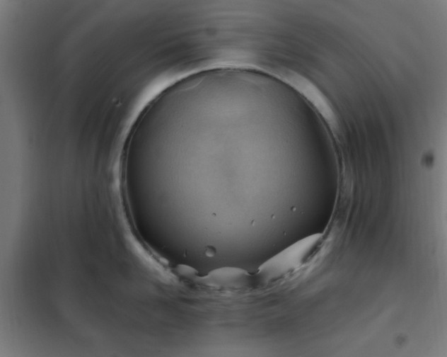 X0000102010958200807251306