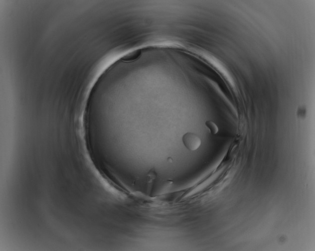 X0000102010959200807251306