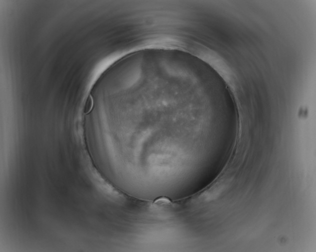 X0000102010960200807251306