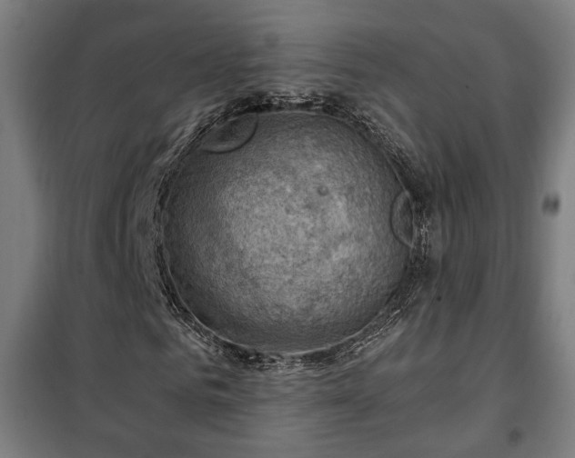 X0000102010961200807251305