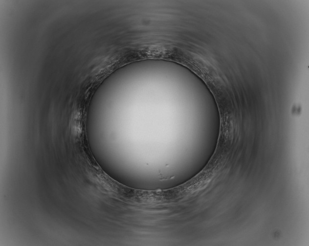 X0000102010962200807251305
