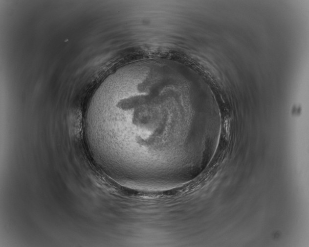 X0000102010963200807251305