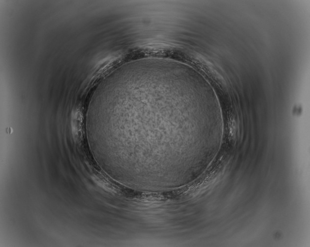 X0000102010964200807251305