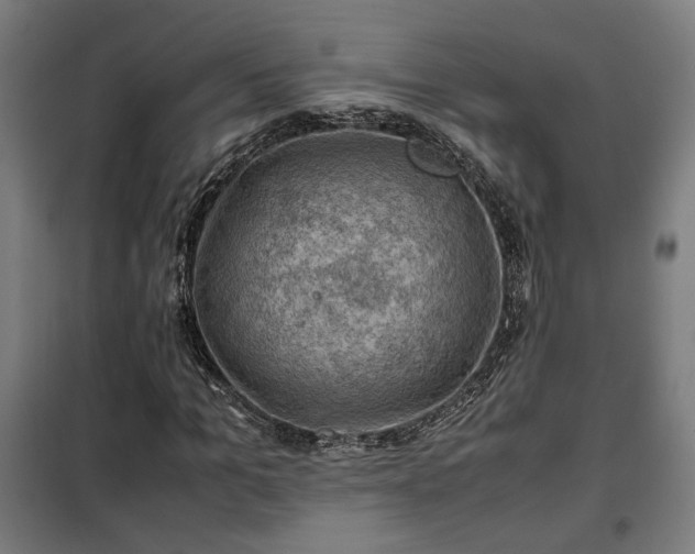 X0000102010965200807251305