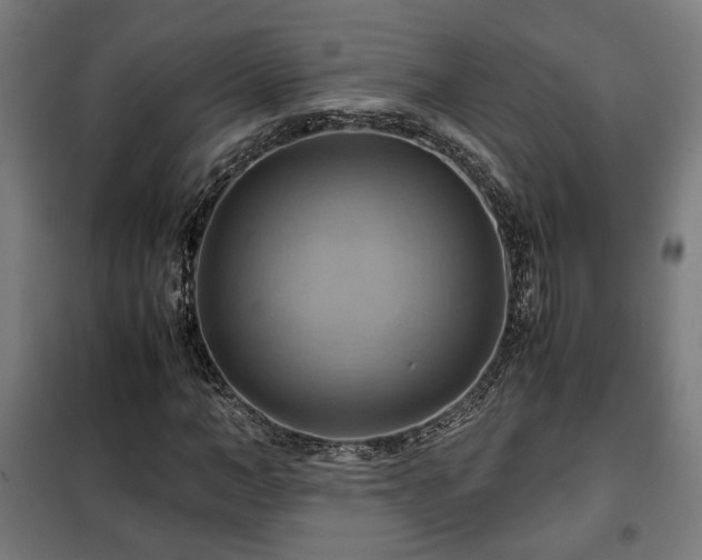 X0000102010966200807251305