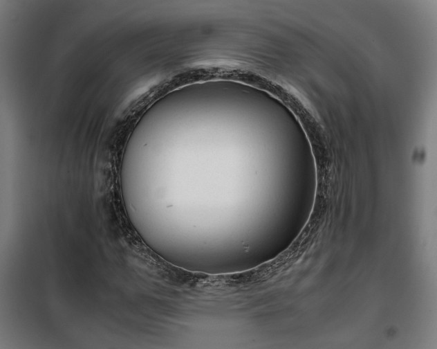 X0000102010967200807251305