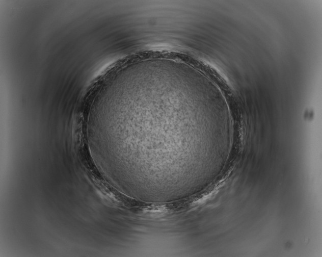 X0000102010968200807251305