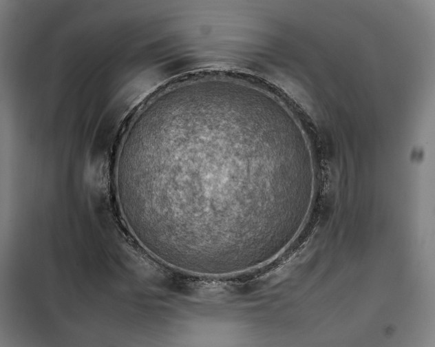 X0000102010969200807251305