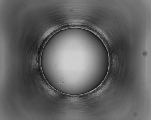 X0000102010970200807251305