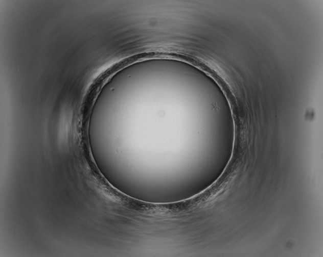 X0000102010971200807251305