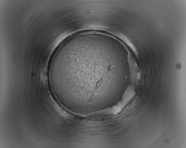 X0000102010972200807251305