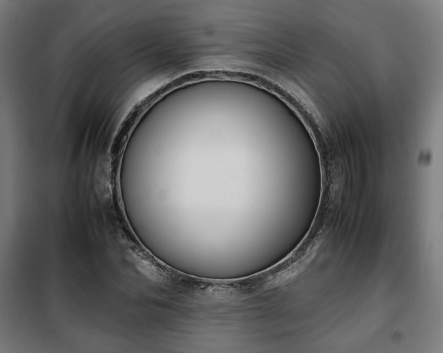 X0000102010974200807251305