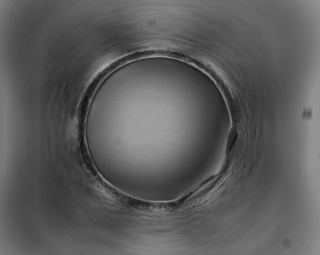 X0000102010975200807251305