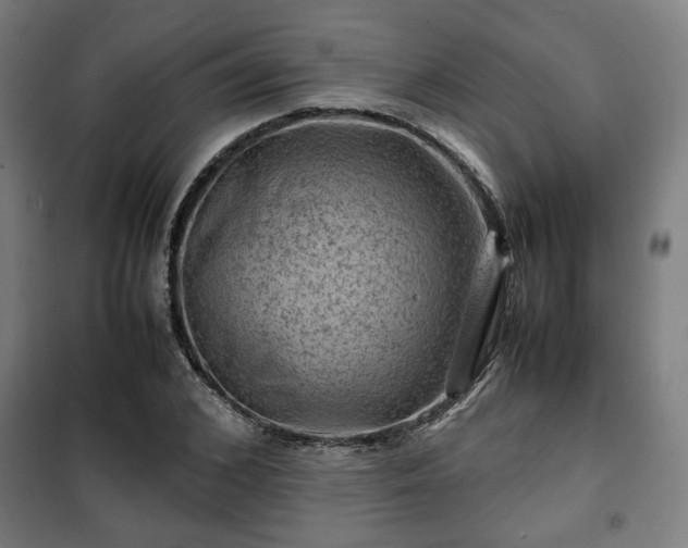 X0000102010976200807251305