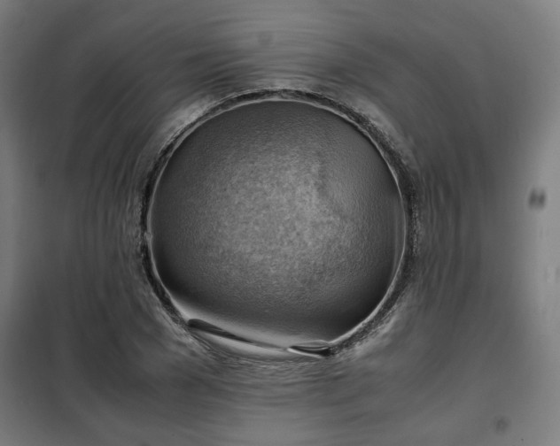 X0000102010977200807251305