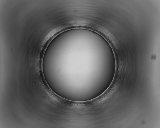 X0000102010978200807251305