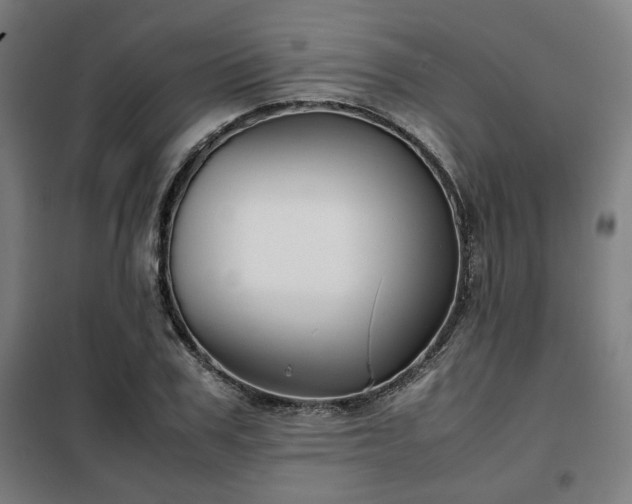 X0000102010979200807251305