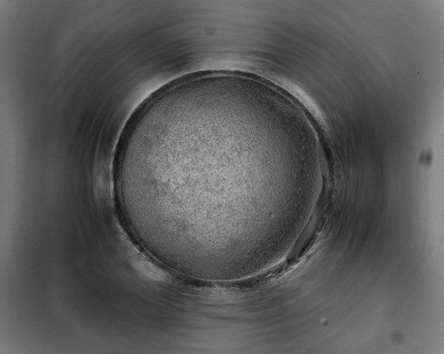 X0000102010980200807251304