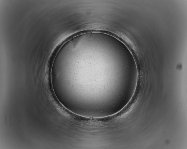 X0000102010981200807251304