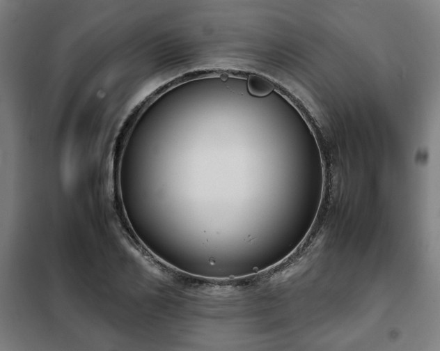 X0000102010982200807251304