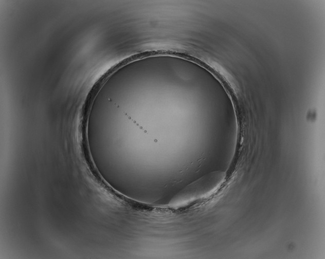 X0000102010983200807251304