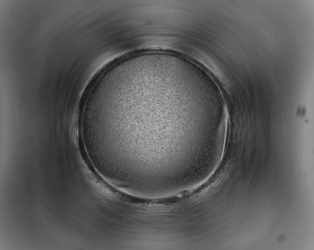 X0000102010984200807251304
