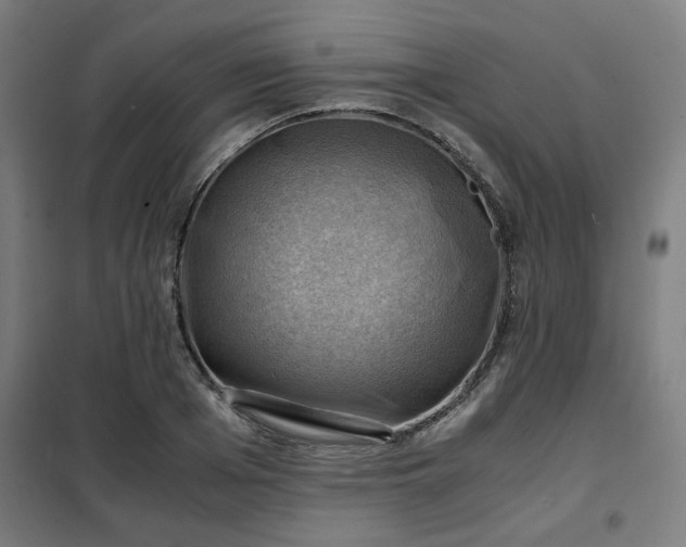 X0000102010985200807251304
