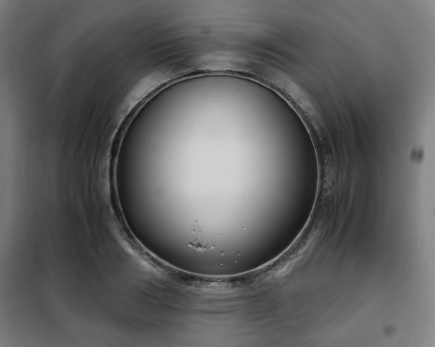 X0000102010986200807251304