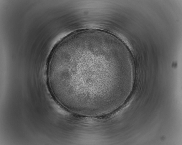 X0000102010987200807251304
