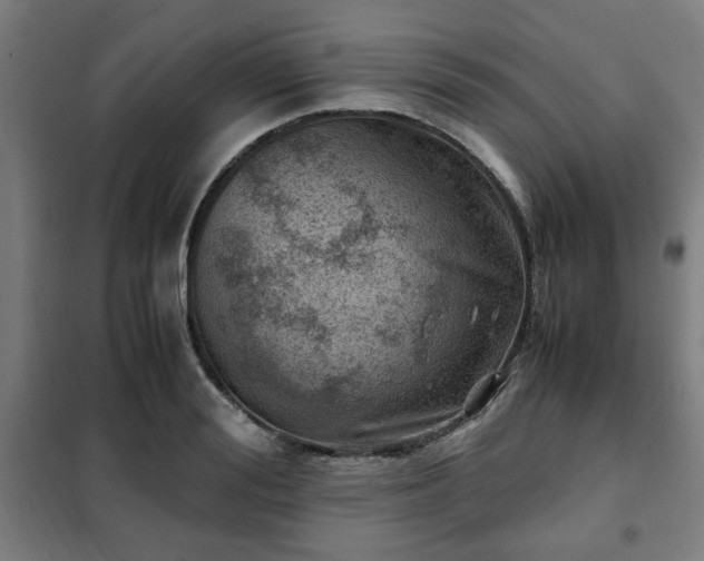 X0000102010988200807251304