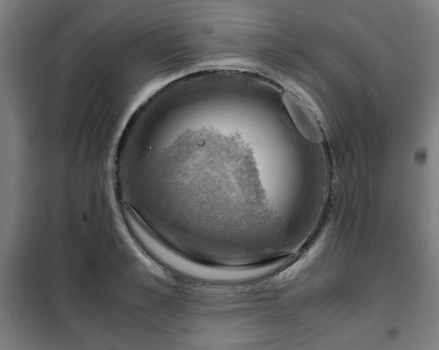 X0000102010989200807251304