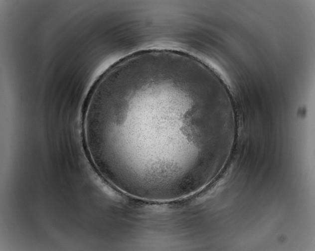 X0000102010990200807251304
