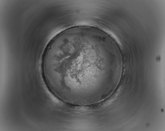X0000102010991200807251304