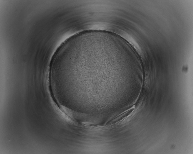 X0000102010992200807251304