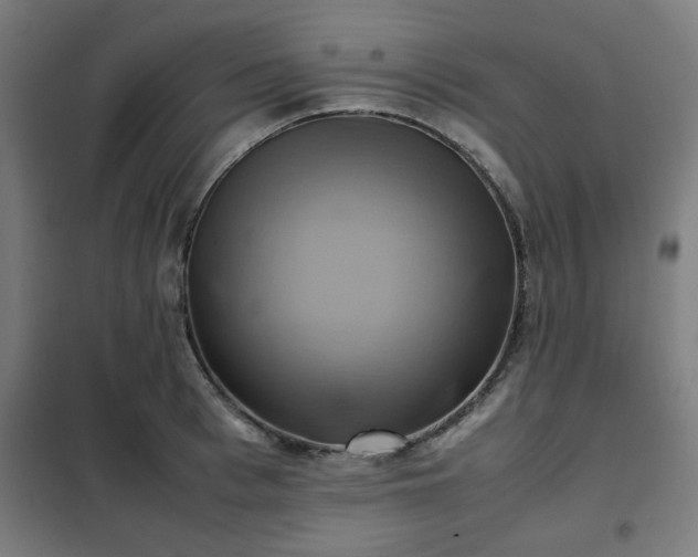 X0000102010993200807251304
