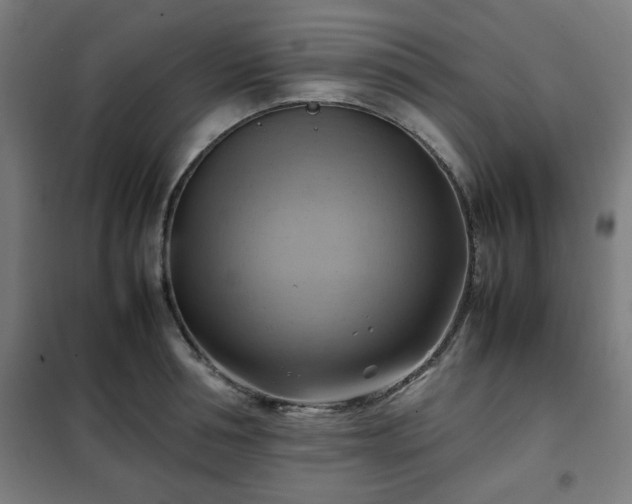 X0000102010994200807251304