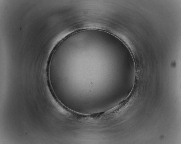 X0000102010995200807251304